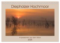 Diepholzer Hochmoor (Tischkalender 2025 DIN A5 quer), CALVENDO Monatskalender