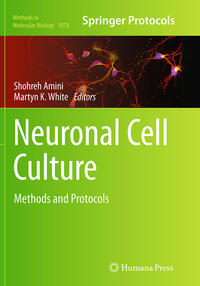 Neuronal Cell Culture