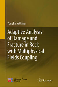 Adaptive Analysis of Damage and Fracture in Rock with Multiphysical Fields Coupling