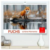 Fuchs - schöne Momente (hochwertiger Premium Wandkalender 2025 DIN A2 quer), Kunstdruck in Hochglanz