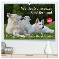 Weißer Schweizer Schäferhund - Ein Tag im Leben einer Hundefamilie (hochwertiger Premium Wandkalender 2025 DIN A2 quer), Kunstdruck in Hochglanz