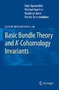 Basic Bundle Theory and K-Cohomology Invariants