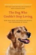 The Dog Who Couldn't Stop Loving