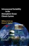 Intraseasonal Variability in the Atmosphere-Ocean Climate System