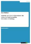 Schwule und Queere Identitäten - Ein Abriss der homosexuellen Identitätsentwicklung