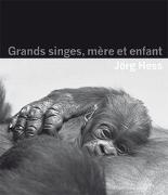 Grands singes, mère et enfant