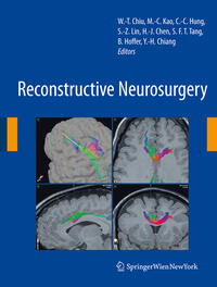Vorderes Coverbild (hohe Qualität) Reconstructive Neurosurgery