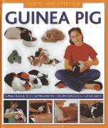 How to Look After Your Guinea Pig