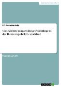 Vorderes Coverbild Unbegleitete minderjährige Flüchtlinge in der Bundesrepublik Deutschland