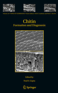 Vorderes Coverbild Chitin