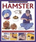 How to Look After Your Hamster