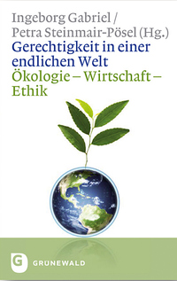 Vorderes Coverbild Gerechtigkeit in einer endlichen Welt