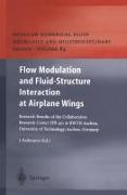 Flow Modulation and Fluid—Structure Interaction at Airplane Wings