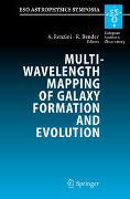 Multiwavelength Mapping of Galaxy Formation and Evolution