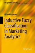 Inductive Fuzzy Classification in Marketing Analytics