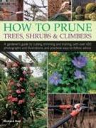 How to Prune Trees, Shrubs & Climbers