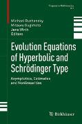 Evolution Equations of Hyperbolic and Schrödinger Type