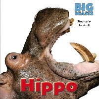 Hippo