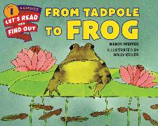 From Tadpole to Frog