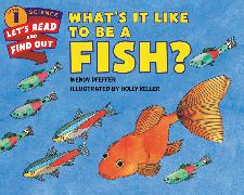 What's It Like to Be a Fish?