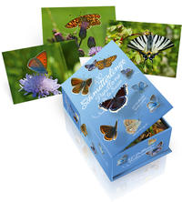 Vorderes Coverbild Postkartenbox 100 Schmetterlinge der Schweiz