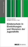 Vorderes Coverbild Kinderschutz in Einrichtungen und Diensten der Jugendhilfe