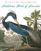 Audubon's Birds of America