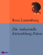 Vorderes Coverbild Die industrielle Entwicklung Polens