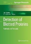 Detection of Blotted Proteins