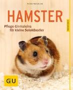 Hamster