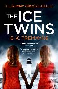 The Ice Twins