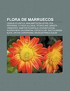 Flora de Marruecos