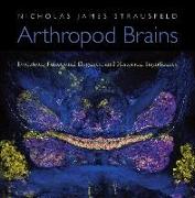 Arthropod Brains