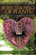 The Secret Teachings of Plants