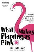 What Makes Flamingos Pink?