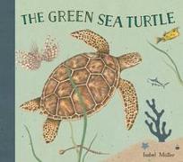 The Green Sea Turtle