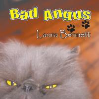 Vorderes Coverbild Bad Angus