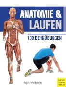 Anatomie & Laufen