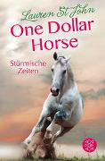 One Dollar Horse – Stürmische Zeiten