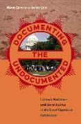 Documenting the Undocumented