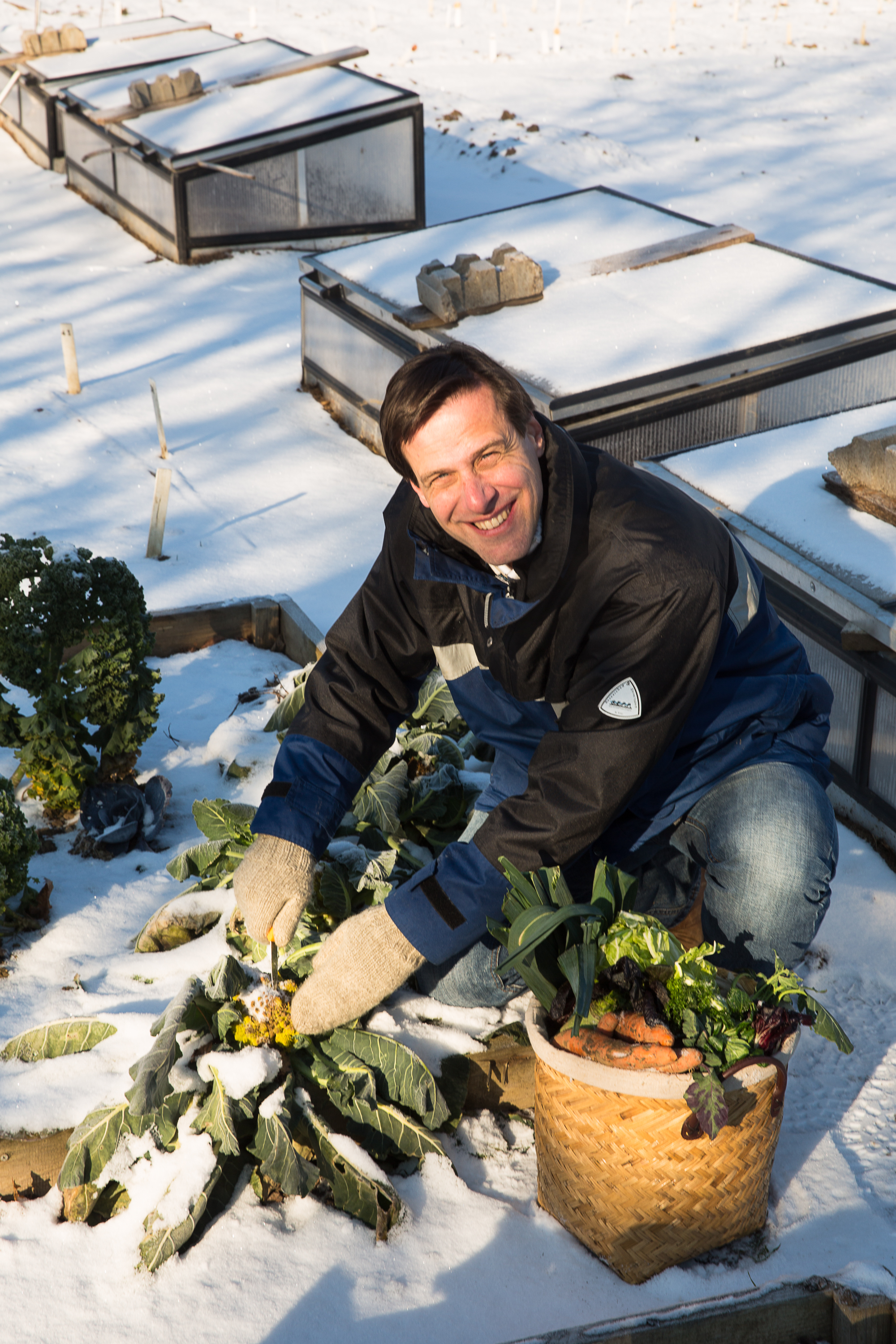 Beispielinhalt (Bild) Frisches Gemüse im Winter ernten