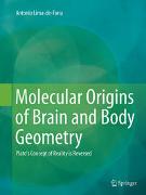 Molecular Origins of Brain and Body Geometry