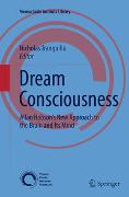 Dream Consciousness