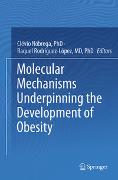 Molecular Mechanisms Underpinning the Development of Obesity