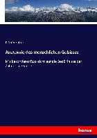 Vorderes Coverbild Anatomie des menschlichen Gebisses
