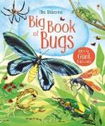 Big Book of Bugs