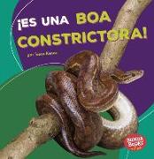 ¡es Una Boa Constrictora! (It's a Boa Constrictor!)