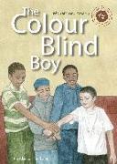 The Colour Blind Boy