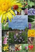 Wildpflanzen zum Genießen