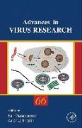 Advances in Virus Research: Volume 66